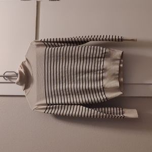Stripe turtleneck sweater